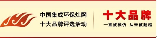 壹度强势进入2011（第二届）中国集成环保灶20强