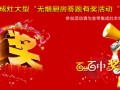 金帝集成灶大型“<span class=