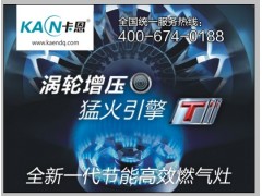 集成环保灶图3