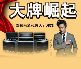 集成灶行业又一大牌，<span class=