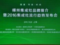 嵊州集成灶品牌推介暨2016集成灶流行趋势发布会在<span class=