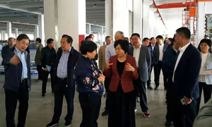 市人大常委会视察厨具产业园，第一站帅丰<span class=