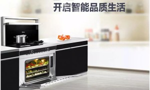 蓝炬星D6Z蒸箱款集成灶，<span class=
