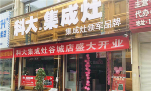 恭祝科大集成灶湖北谷城店开业大吉！