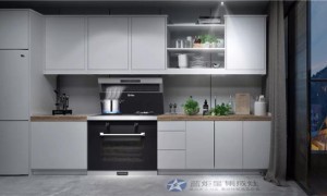 我是铁了心的想买一台蓝炬星集成灶