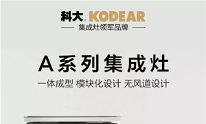 玩转当下流行的小厨房，科大集成灶<span class=