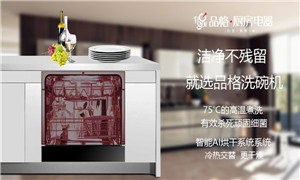 “解放双手，碗如初见”品格独嵌两用<span class=