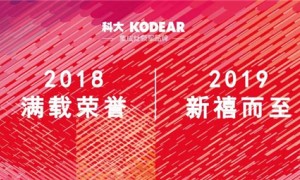 荣誉是我们留给2018最好的<span class=