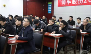 帅丰营销部年终<span class=