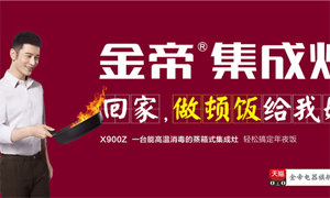 金帝集成灶春节广告登录全国<span class=
