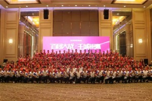 “百团大战·千城钜惠”德西曼<span class=