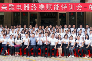 强终端，赢未来！2019上半年<span class=