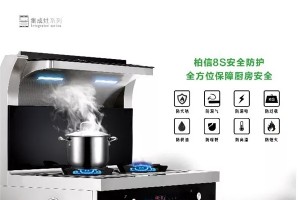 拥有柏信集成灶，就是拥有<span class=