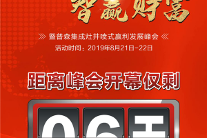 普森集成灶<span class=