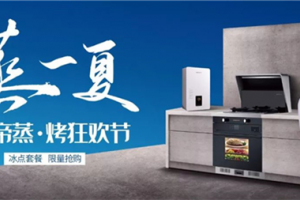 集成灶10大品牌，金<span class=
