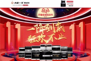 双十一大放价，<span class=
