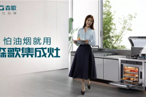 15分钟蒸8道菜，森歌集成灶<span class=