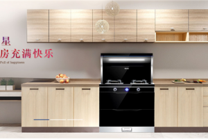 厨房帮手蓝炬星集成灶，缔造家的<span class=