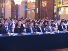 浙派2019年全国经销商年会 会议现场