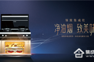 领致集成灶，幸福<span class=