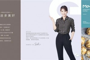 美多集成灶<span class=