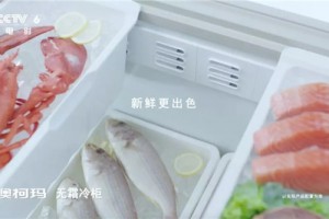 澳柯玛集成灶强势登陆<span class=