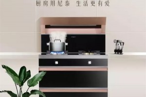 年度支付账单来了，尼泰集成灶提高你的生活<span class=