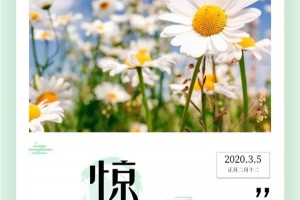 惊蛰时节，乍暖还寒，金利集成灶伴您迎春到！