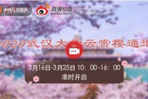 帅丰教你把260亩武大樱花带回家