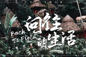 清凉一夏 厨房焕新 培<span class=