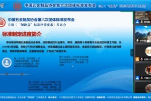 第六次团体标准发布会召开，<span class=