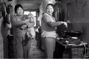 万事兴集成灶，从<span class=