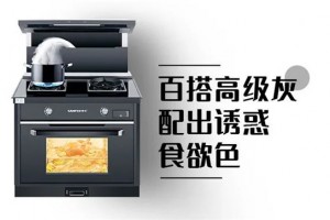 帅丰集成灶探索频道，有型有色有实力，才是<span class=