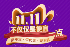 这个双十一，你不能错过的一场<span class=