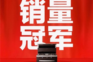 喜报！万事兴集成灶蒸烤消类目一举拿下双11<span class=