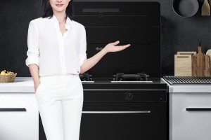 蓝炬星集成灶 周迅2号变频集成灶-让<span class=