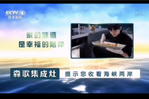 森歌集成灶再度携手央视CCTV-4频道：紧握时代风口，创新驱动<span class=