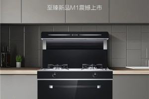 普森集成灶新品M1，积木式<span class=