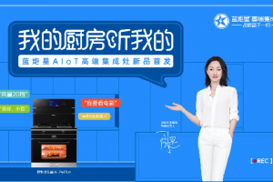 蓝炬星AIoT高端智能<span class=