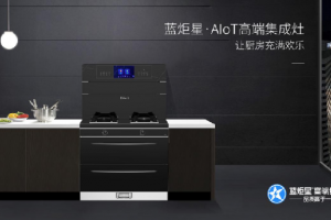 蓝炬星&周迅·2号plus——<span class=