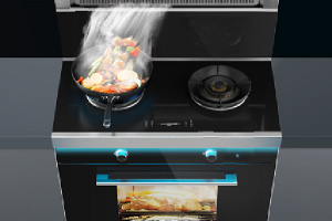 嵌入式电蒸箱好用吗？相比森歌蒸烤一体集成灶，哪个更好用？