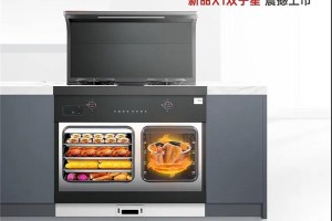 帅丰集成灶人民国货工程<span class=