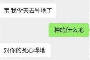 佳歌丨我命油我不油天，你的厨房去油了吗？