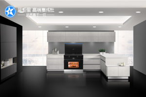 颠覆传统，蓝炬星AIoT高端集成灶更适合<span class=
