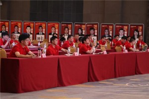 帅丰电器<span class=