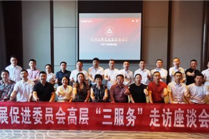 服务驱动加速，引领品效创升 | <span class=