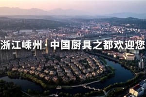 中国厨具之都考评团一行<span class=