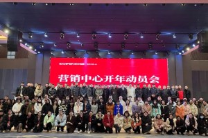 开局加速,起步起势,帅丰电器<span class=