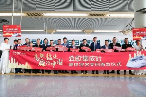 大牌速度，“森歌”高铁专列<span class=
