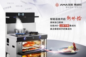 生能上蒸下烤集成灶，让你爱上烹饪！